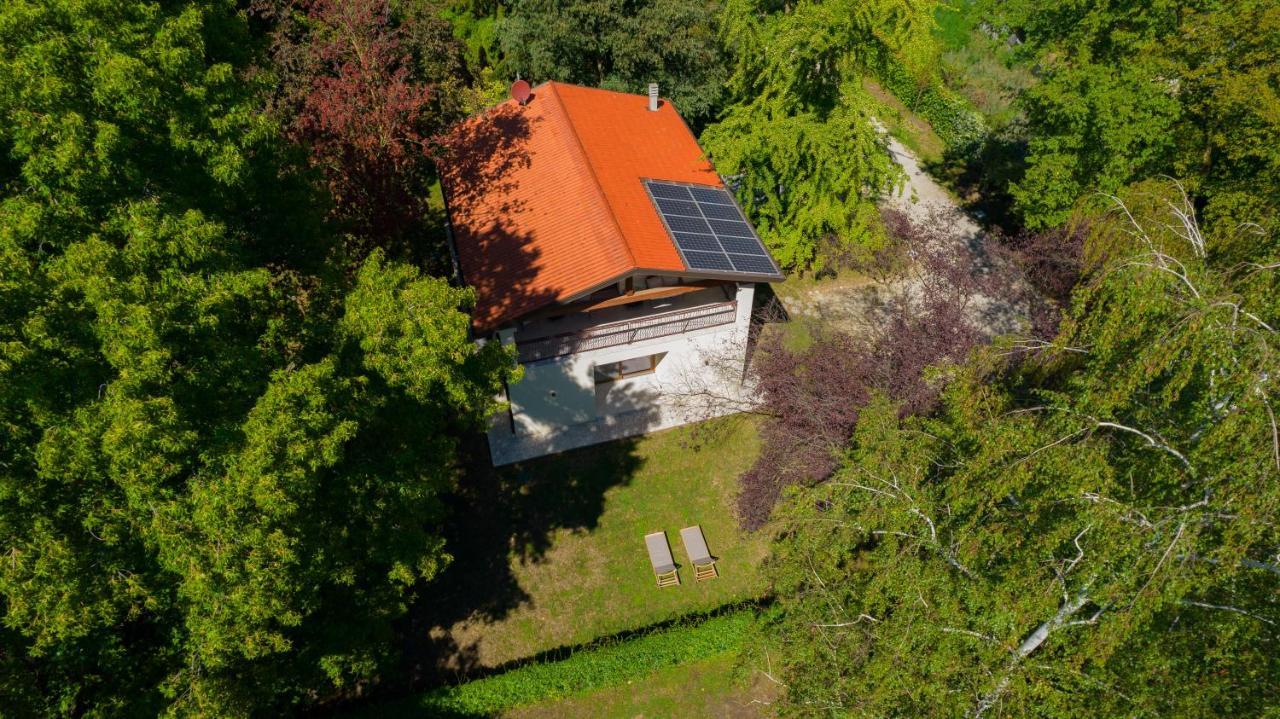 Ca' Ottantanove Villa Mestre Bagian luar foto